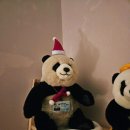 빅파인트리하우스 이미지