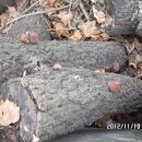 어등재활원 이미지