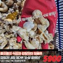 척척밥상 공구_순살골뱅이 후기! 마늘버터골뱅이와 계란감바스 이 두조합 너무 좋은데?!
