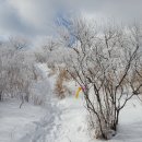 12월 15일 토요당일 - 100대명산 황악산+직지사 눈꽃산행 신청안내 이미지