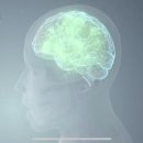 건강한사람들 이미지