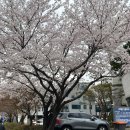 중3동 우체국 | 부천 신중동 디저트 선물세트 소금빵, 휘낭시에 맛집 위시위시