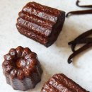 우후죽순 이미지