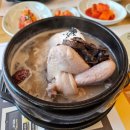 김포삼계탕 맛집 지호한방삼계탕 김포직영점 가족모임보양식으로도 좋다