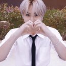 희승산업 | VR CONCERT: IMMERSION 엔하이픈 VR 콘서트 후기 특전 포스터 포토카드 셋리 (메가박스 코엑스 MX4D관)