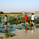 신흥리방사탑 2호 이미지