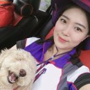 (주)창진산장휴게소 이미지