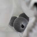 다옴드라이 이미지