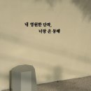 너랑 온 이미지