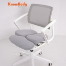 다우스 | 노바디체어 K36 의자 실사용 후기