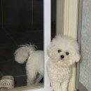 이마트24 계명대동문점 | 11월 일상_4주차