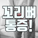 필마취통증의학과의원 이미지