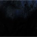 승리생활건강 이미지