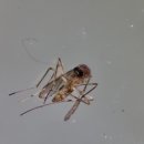 대전축사3 이미지