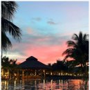 윤화농장 | 푸꾸옥 패키지 3박5일 4박6일 일정 추천