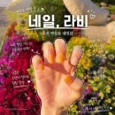라비네일 - 남동구 | 울산 야음동 네일샵 네일라비 남구 꼼꼼한 젤네일 후기 주차