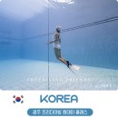 광주 프리다이빙 원데이 클래스 레벨1 체험 프리다이빙프렌즈 후기