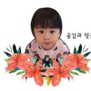 유하노리