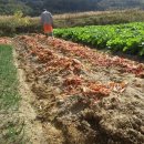 경희농원 이미지