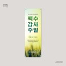 늦은비디자인