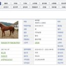 동백목장2 이미지