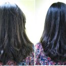 에코헤어 이미지