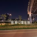 주부가요교실 | 서울 튤립 보러가기좋은 '용비쉼터' 밤에 산책간 후기