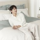 알레르망 이미지