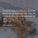 이 글에서 ‘설마’가 나오거든 반드시 사실이다 메타ㅅㅍ 이미지