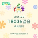 아라리오노동조합 | 스끼다시 내 인생