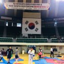 용운태권도 이미지