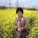 꽃밭교회 이미지