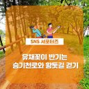 승기천로 이미지