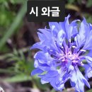 대추 한 알 / 정석주 이미지