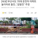 [속보] 부산서도 70대 운전자 아파트 놀이터로 돌진…"급발진" 주장 이미지