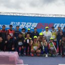 영천시청 이미지