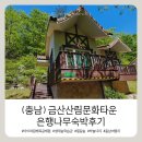 남이-비상-1호 | [ 금산 ] 금산산림문화타운 ( 남이자연휴양림 ) 은행나무방 숙박후기 , 아이와 함께 목재문화체험 가능한곳