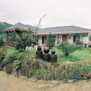 대나무집 민박 이미지