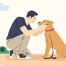 댕댕 하우스 이미지