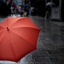 뜨락의아침 이미지