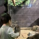 문일농장 | 경주 아기랑 가볼만한곳 실내 동물원 테마파크 주렁주렁 할인