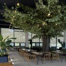 [오전N] 상큼, 달콤 생과일 타르트 만들기 | 남양주 분수 뷰와 온실관이 있는 역대급 대형 카페, THE377 베이커리