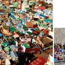 감천목장 이미지