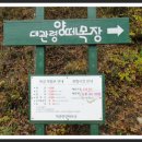 대관령목장 이미지