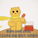 푸라닭강원 이미지