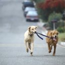 태양카클리닉 이미지