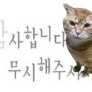 알트리 - 광명시 광명로 432 | 10월 블로그 챌린지는 계속된다