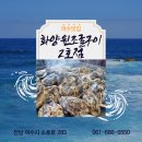 화양원조굴구이횟집 | 여수 화양원조굴구이 2호점 후기｜여수에서 전주가기 전 최고의 선택!