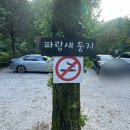 파랑새매점