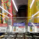 테라디자인 | 테라 신제품 스파클링 토마토 후기ㅣ기대하고 마셔봤는데..
